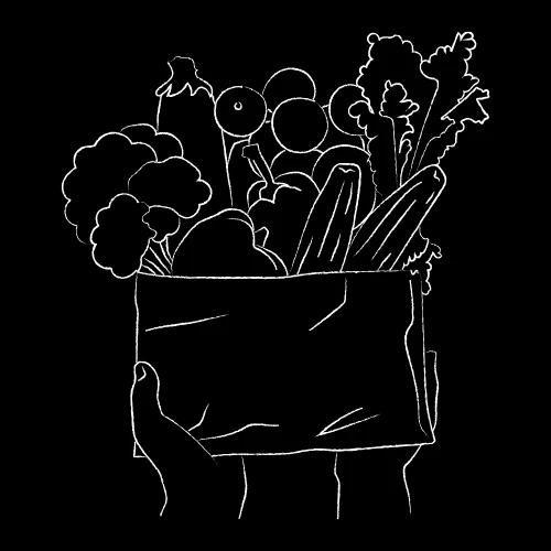 All Dehydrate Vegetable Powder & Flakes